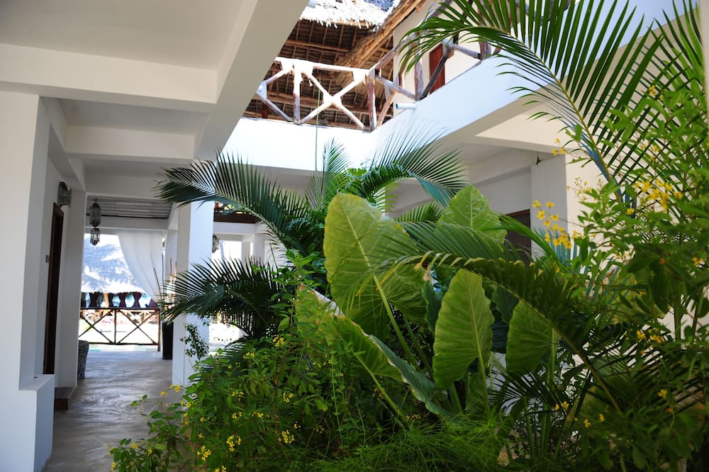 サハリ ザンジバル 写真