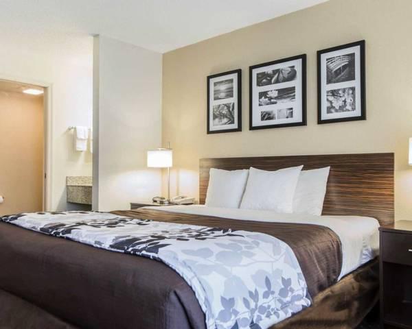 スリープ イン フローレンス ノース 写真