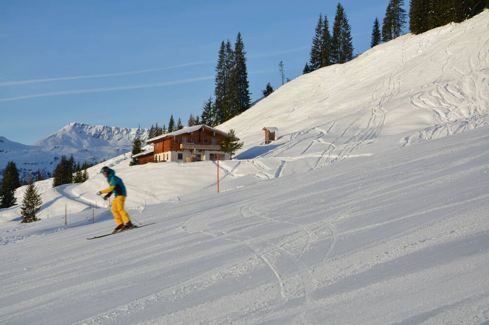アルパイン プレミアム シャレー ヴァレックロッジ 写真