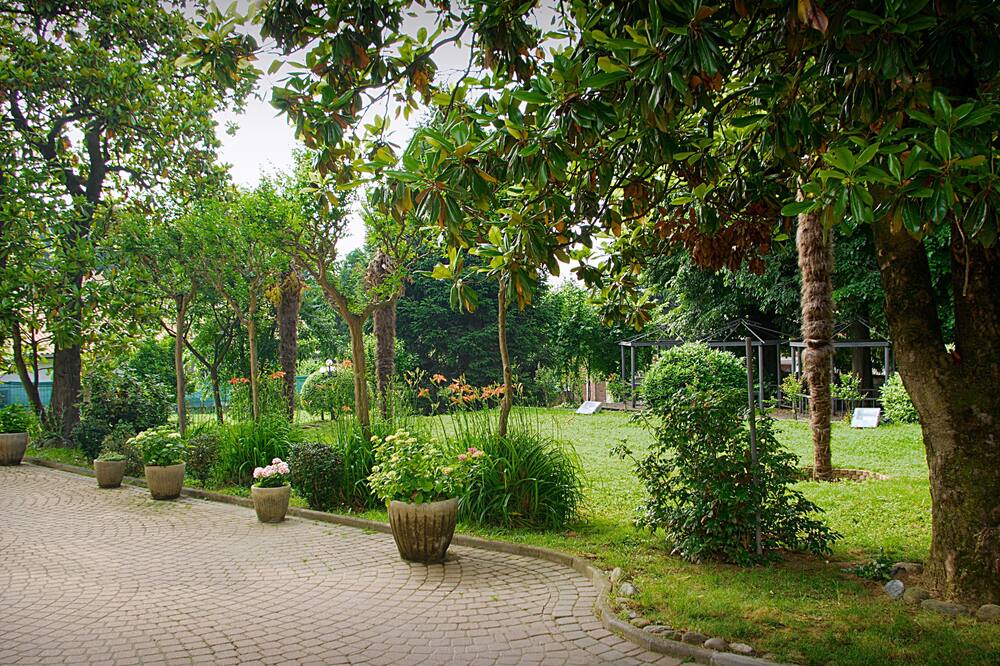 Hotel Damian Park Hotel Delle Magnolie 写真