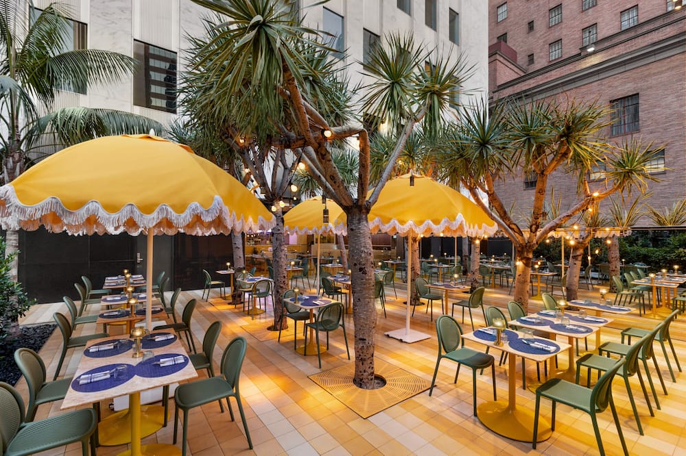 ザ デルフイ 写真