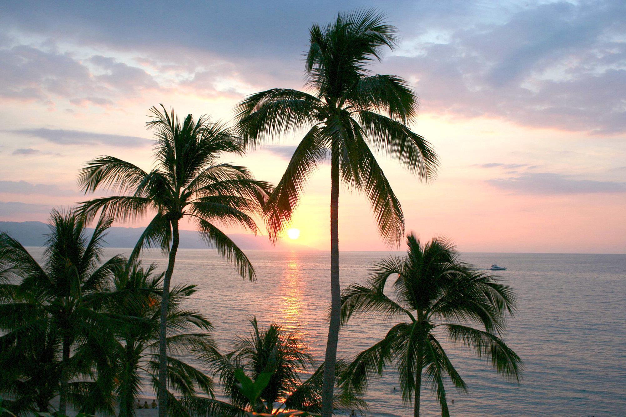 プラヤ ロス アルコス 写真