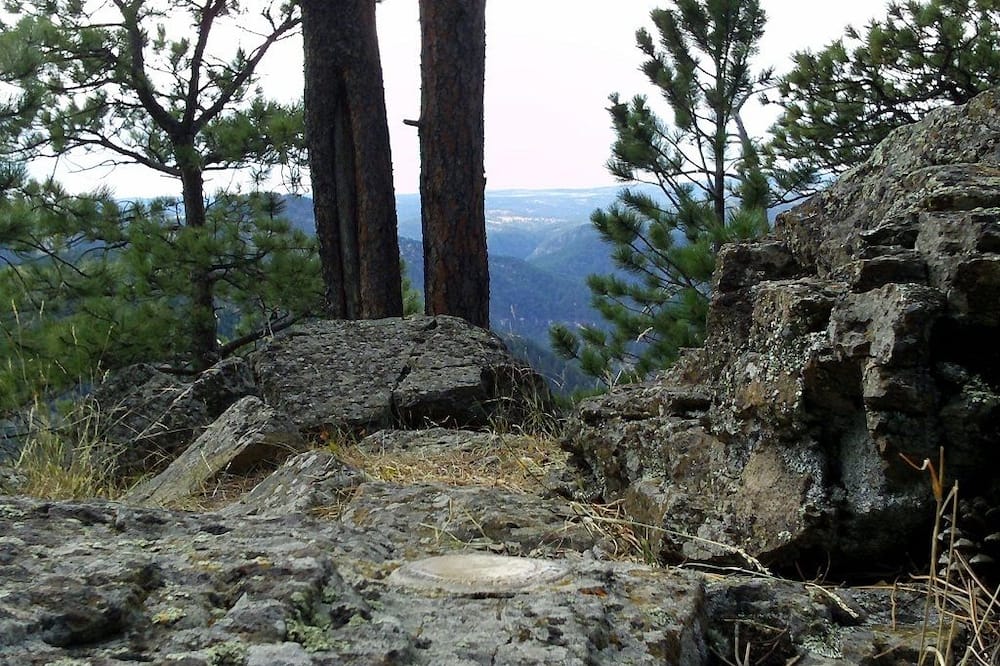 デイズ イン バイ ウィンダム スピアフィッシュ 写真