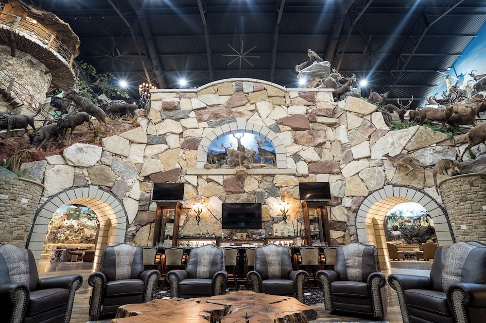 チャンピオン ランチ 写真