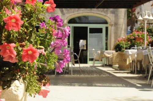 Hotel Euromare 写真