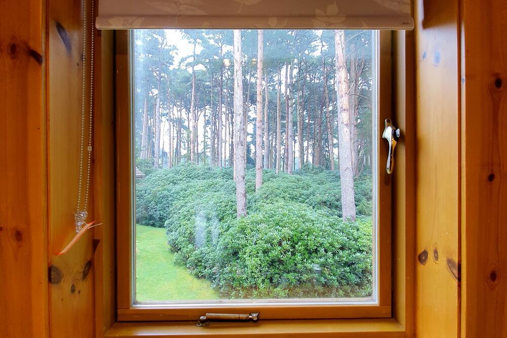 ザ ドーセット リゾート 写真