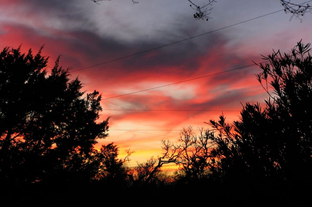 イエロー ハウス ベッド アンド ブレックファスト 写真