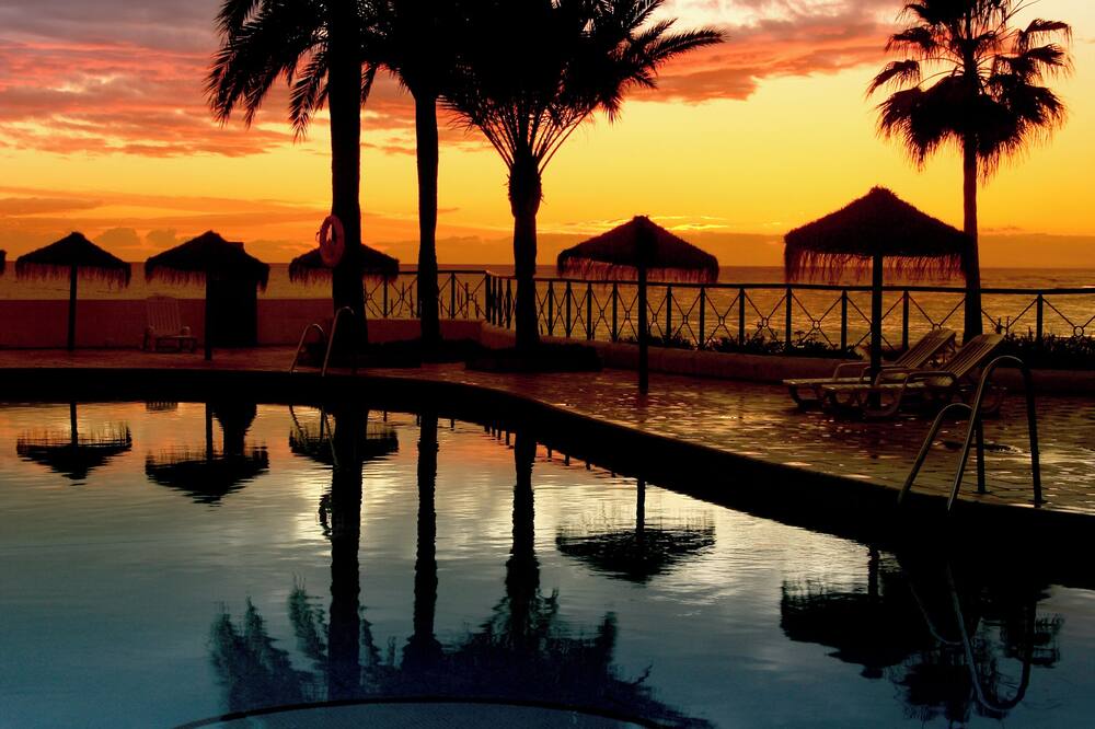 マクドナルド ドナ ローラ クラブ 写真