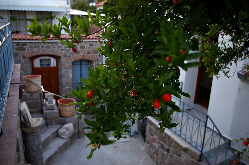 ヘラ ブティック ホテル 写真