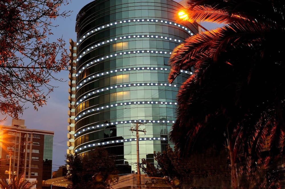 スイーツ カミノ レアル 写真