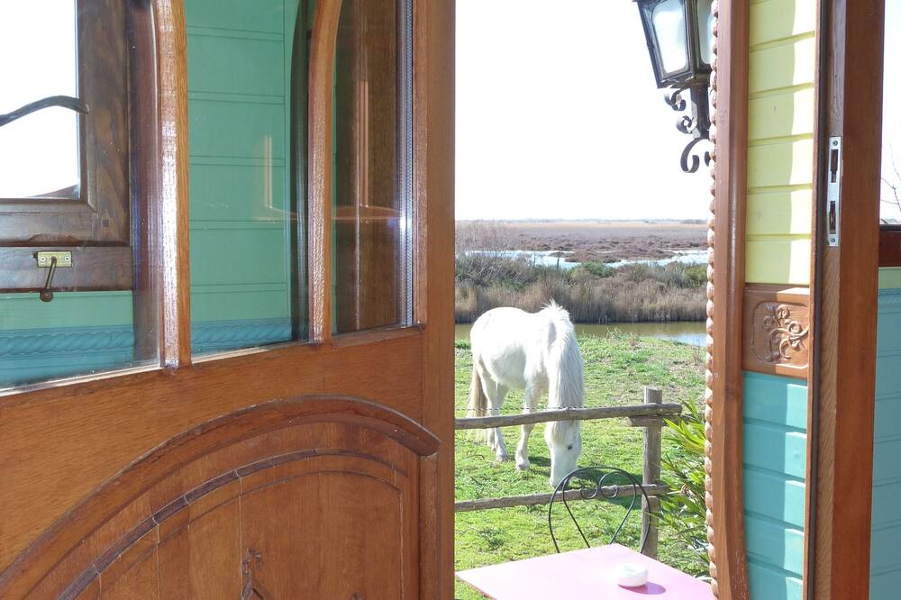 ル マ ド カラブルン 写真