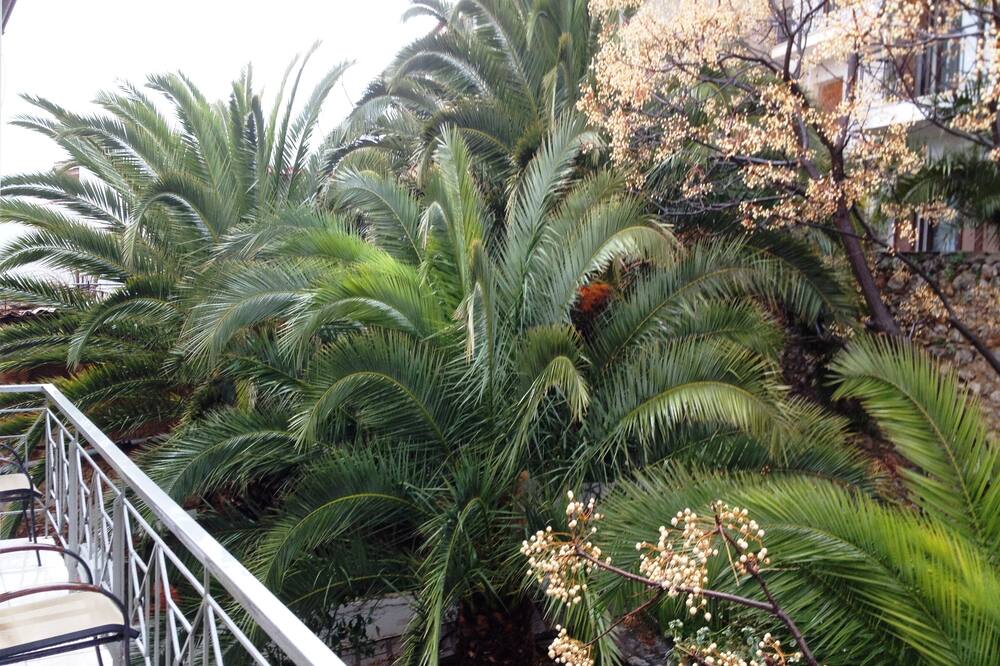 Parnassos Delphi Hotel 写真