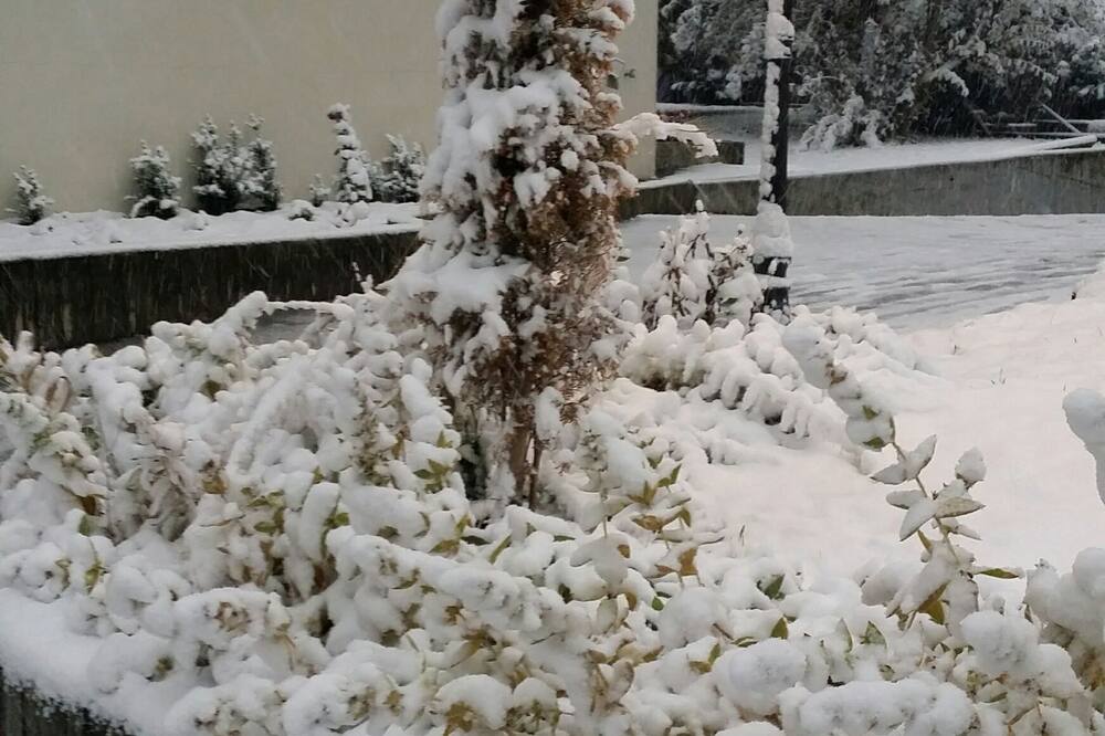 ホテル アンバサダー ツェルマット 写真