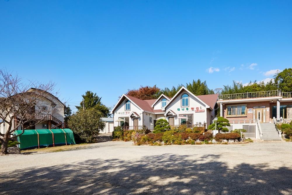 Taean Daenamu Pension 写真