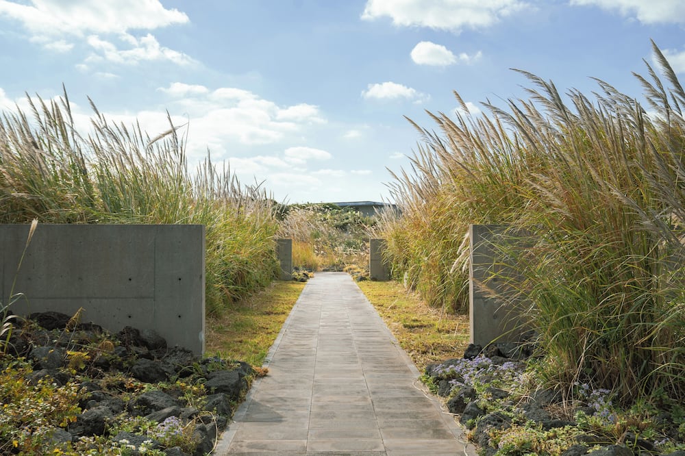 フェニックス アイランド 写真