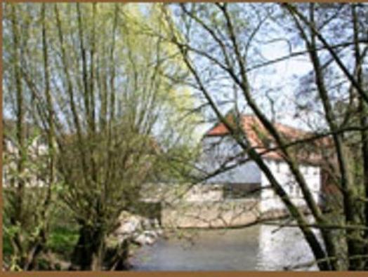 Hotel Brauhaus Wiesenmühle 写真