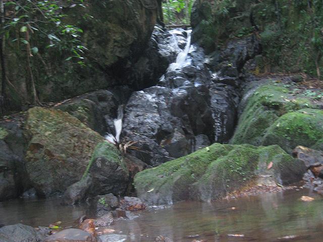 クラウズ メープルトン 写真