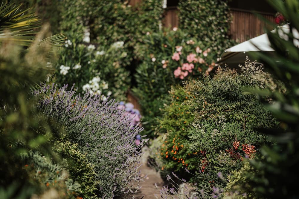 Hotel Ansitz Plantiz 写真