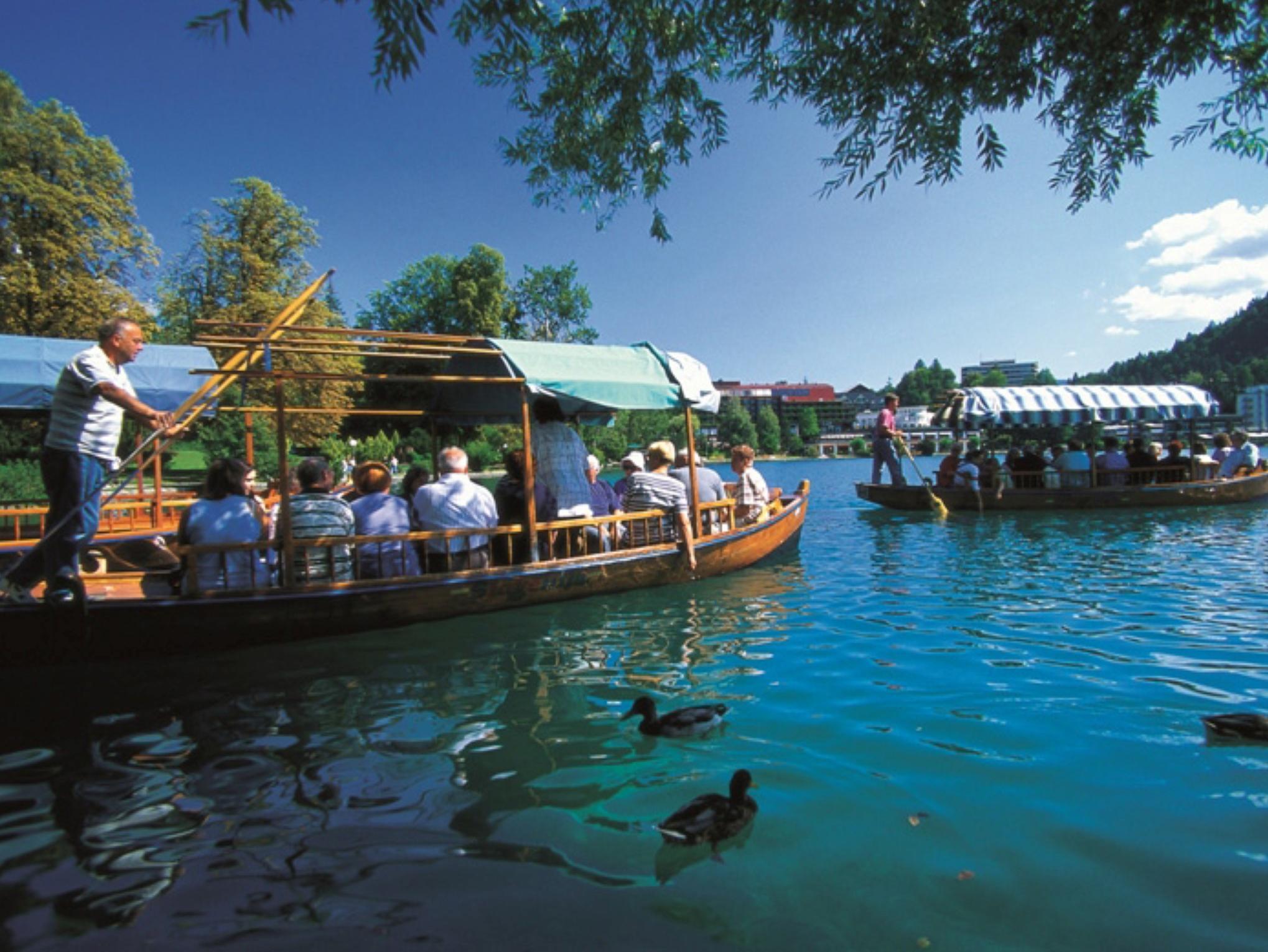 Bled Rose hotel 写真