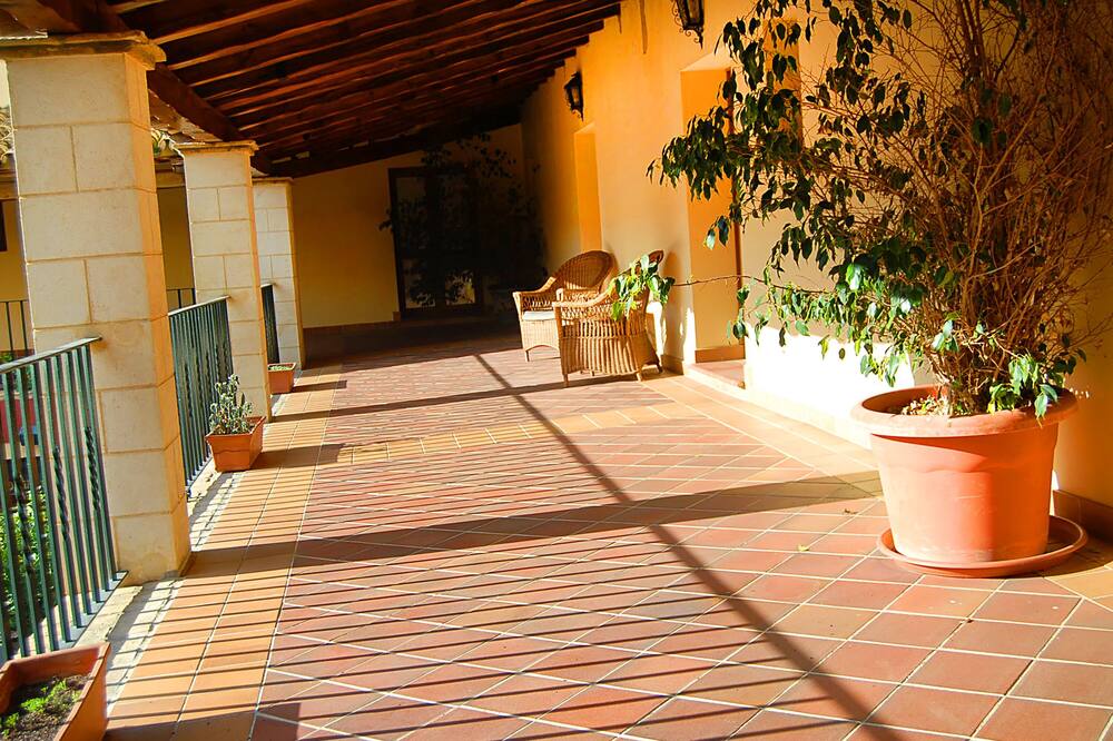 ボデガ レアル 写真