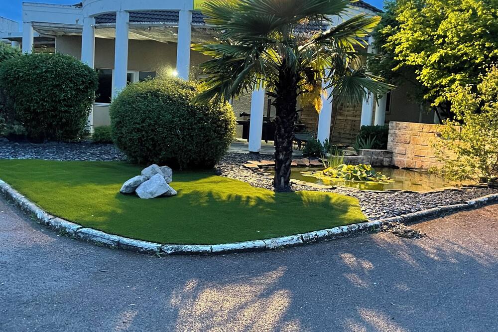 チューリップ イン ボーヌ 写真