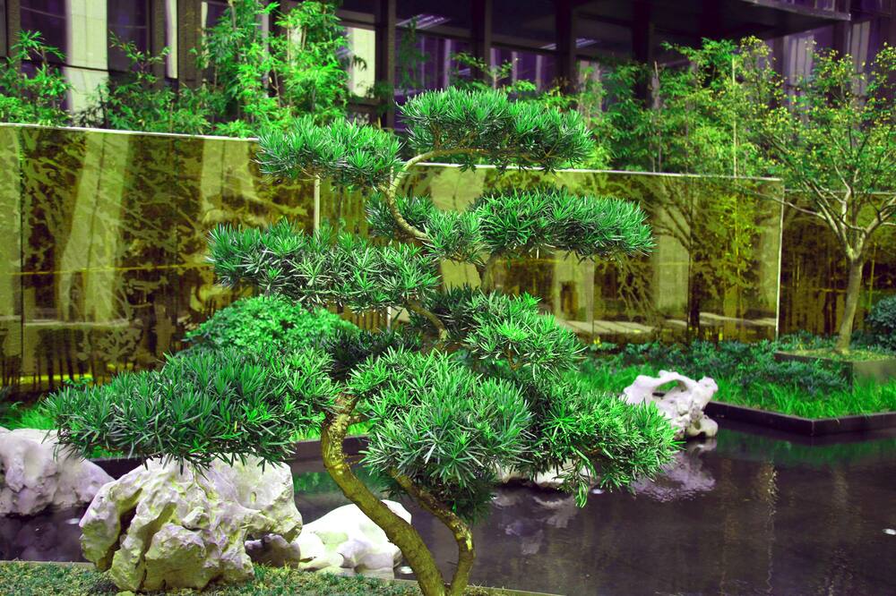 HUALUXE 無錫太湖 by IHG (HUALUXE 无〓太湖〓邑酒店  - IHG 旗下酒店) 写真