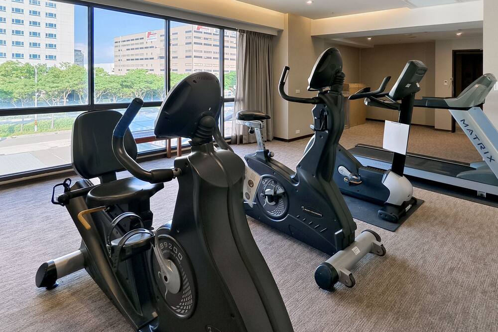 ホリデイ イン タオユエン エアポート 写真