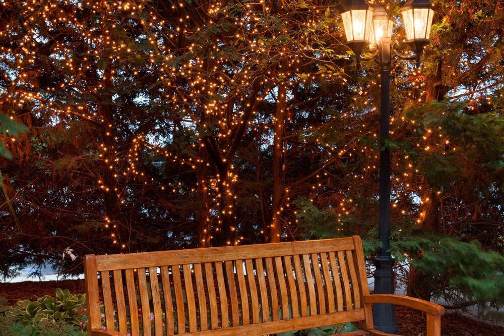 ヒルトン ガーデン イン フェアファックス 写真