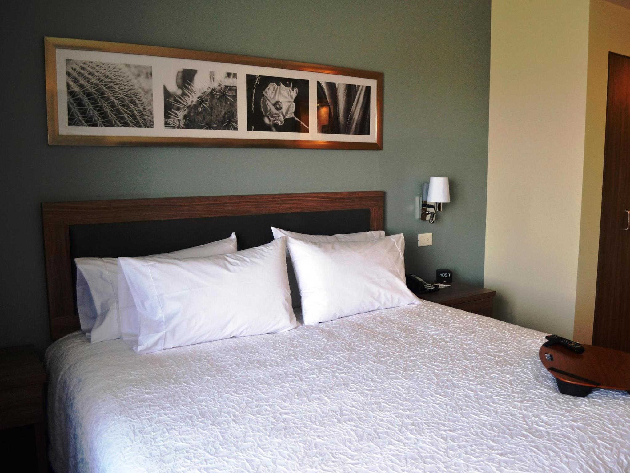 ハンプトン イン&スイーツ バイ ヒルトン サラマンカ バヒオ 写真