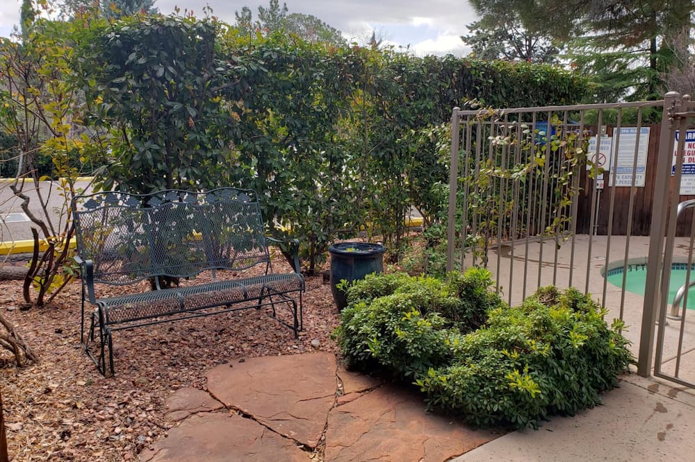 ベイビー クエイル イン 写真