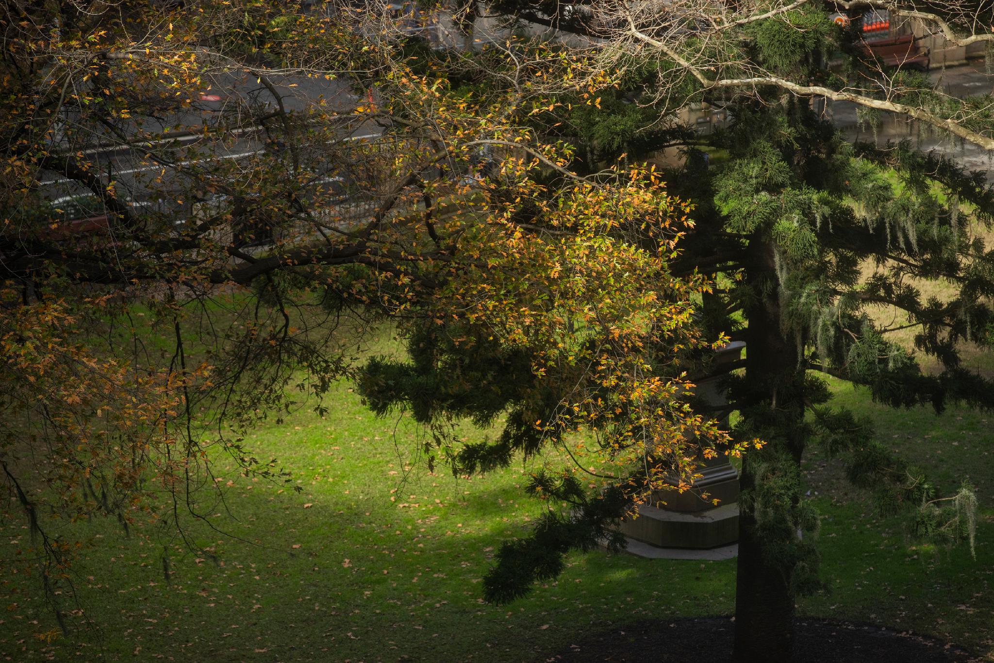 ノボテル シドニー シティ センター 写真