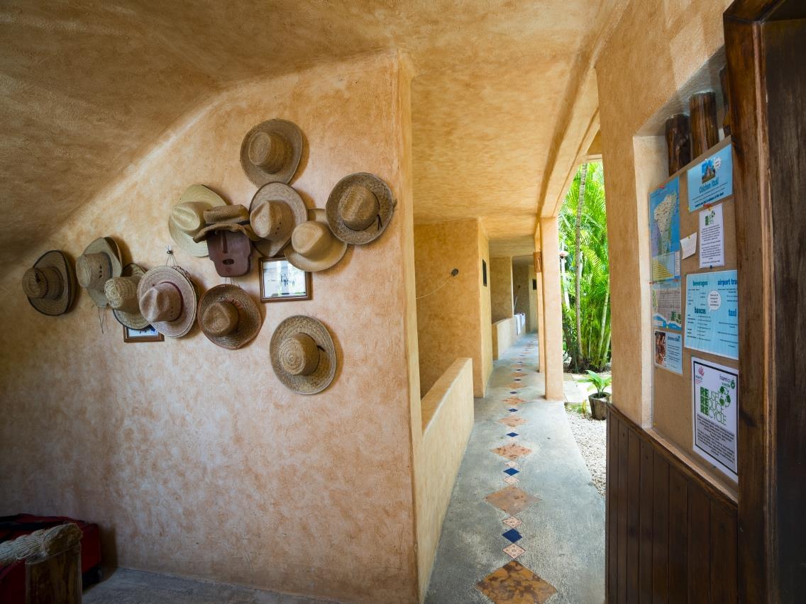 ホテル バリオ ラティーノ 写真