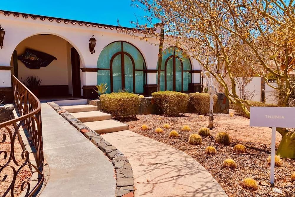 Orchid House Baja 写真