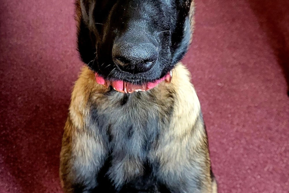 バンゴールグランデ 写真