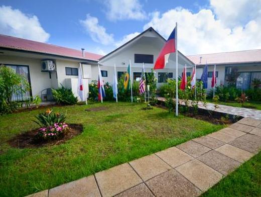 タハ タイ 写真