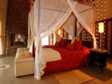 タンダー プライベート ゲーム リザーブ 写真