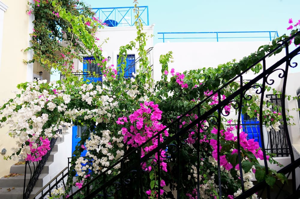 キクラドニシア トラディショナル セトルメント 写真