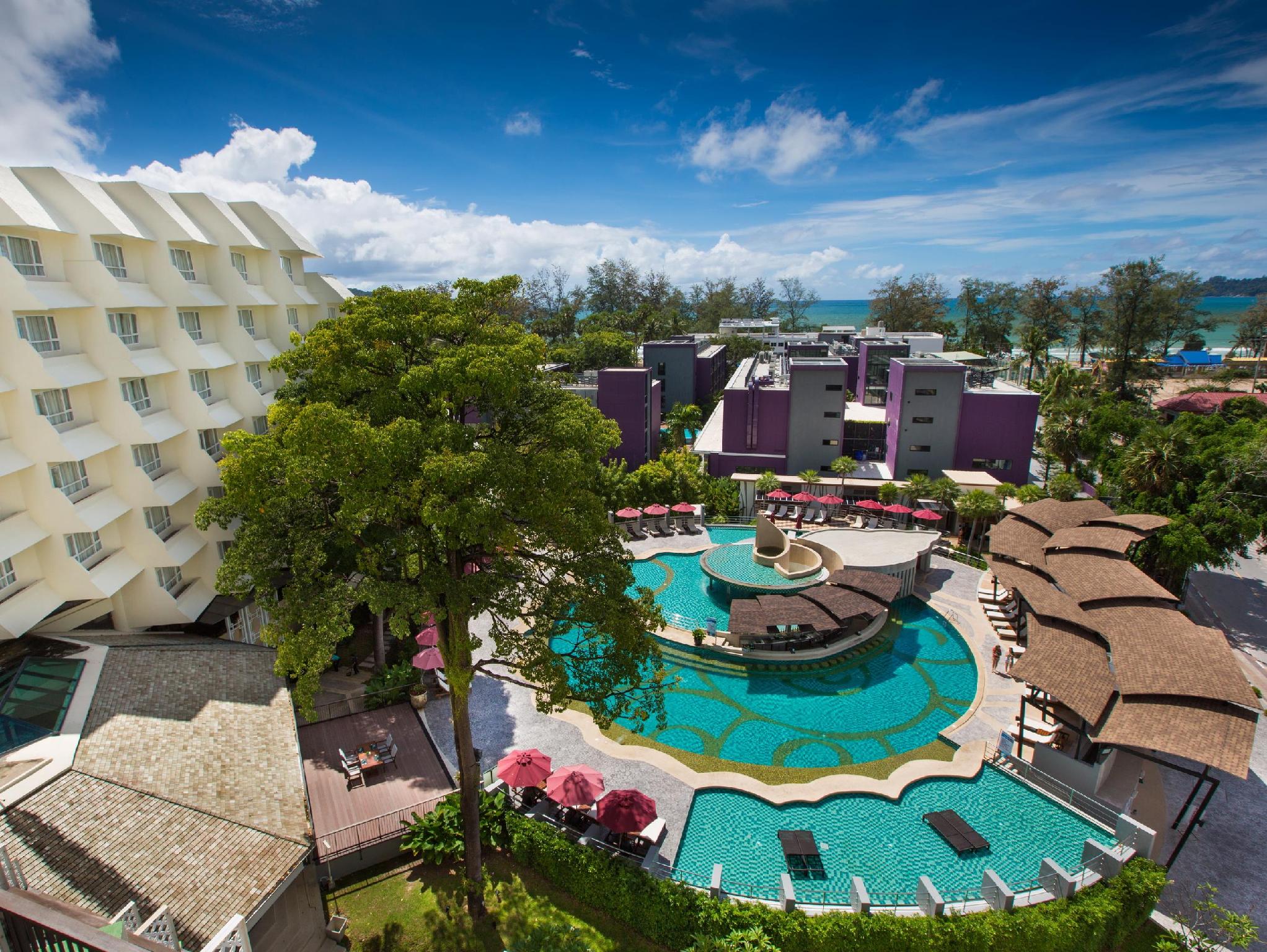 アンダマン エンブレース パトン 写真