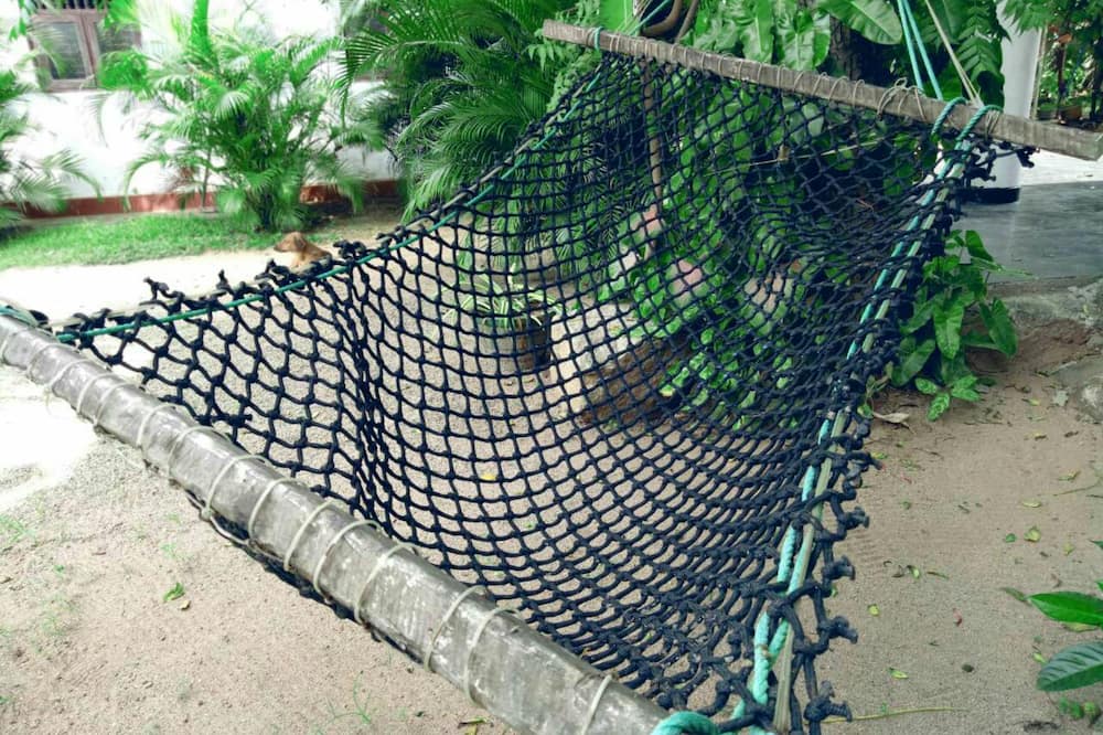 タケシ イン 写真