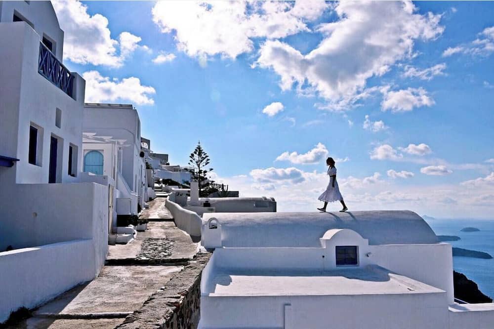 ヘリオトポス 写真