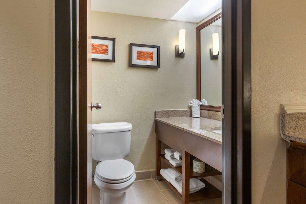 コンフォート  イン グランド ラピッズ エアポート 写真