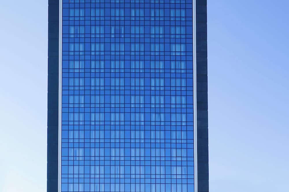 ラディソン ブルー オテル アンカラ チャンカヤ 写真