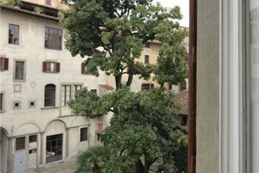 テル ダリ 写真