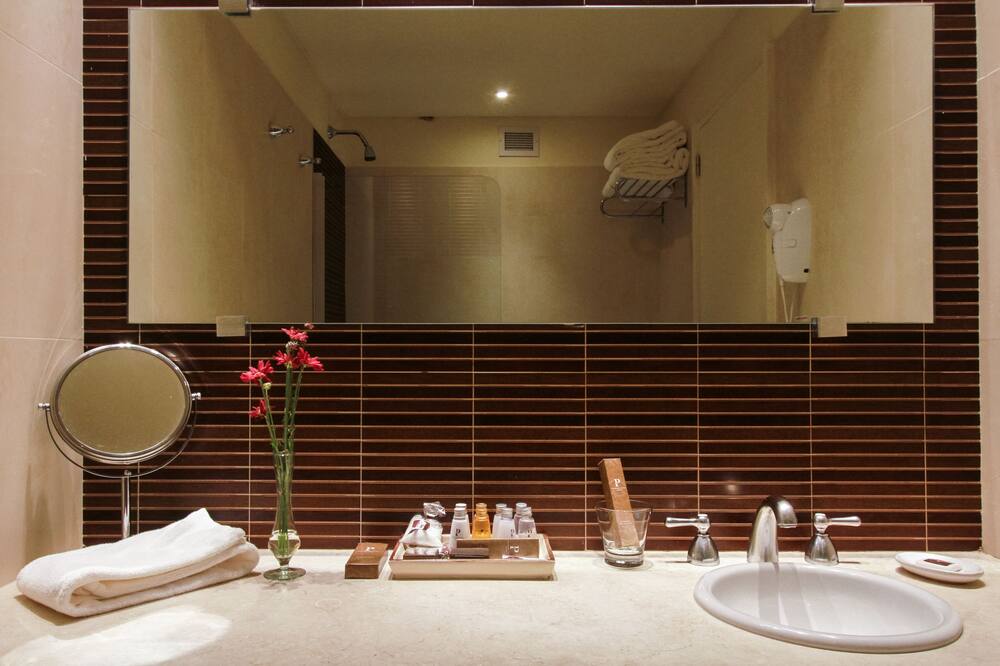 パノラマ グランド イグアス 写真