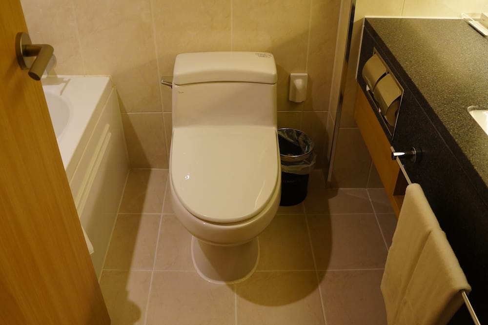 ザ サミット ホテル ドンデムン 写真