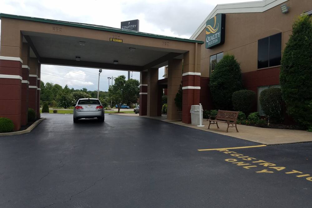 クオリティ スイーツ 写真