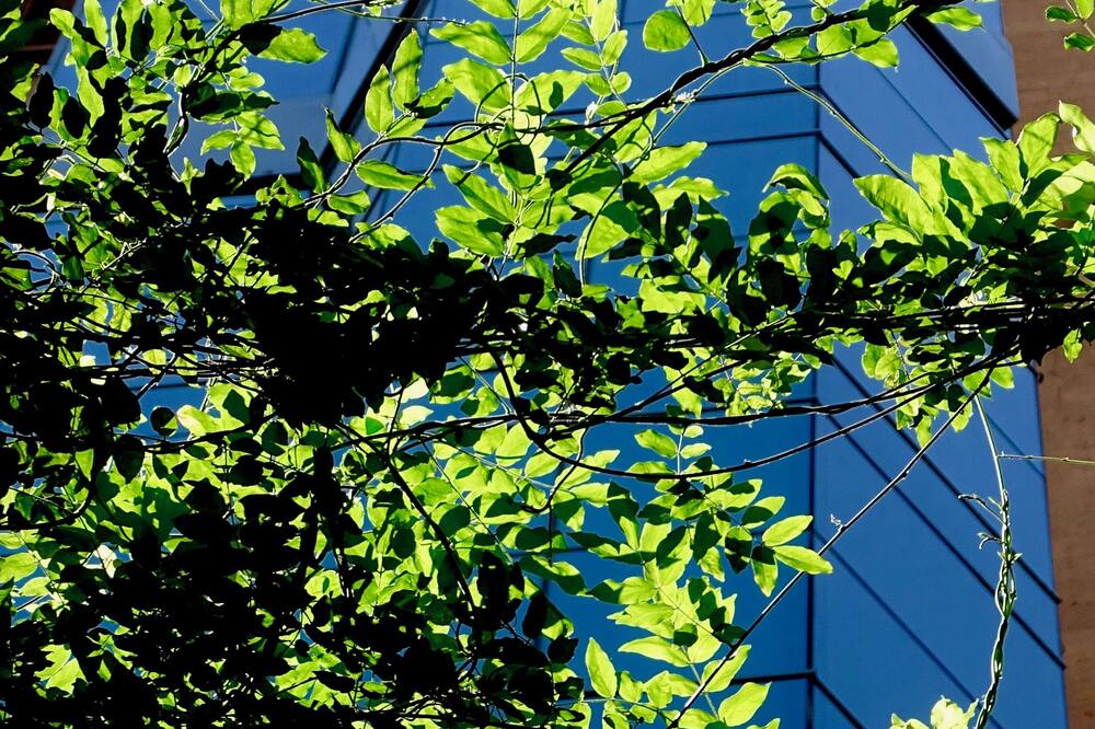 Republica Hotel Yerevan 写真