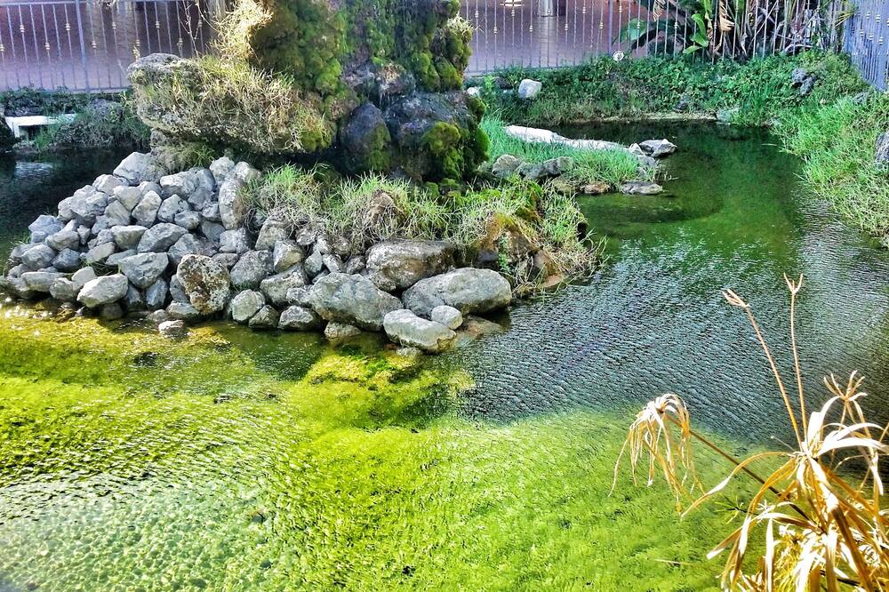 Hotel San Luca - Centro Congressi 写真