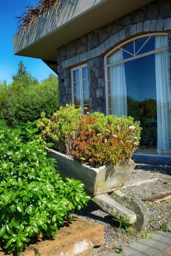 Tauhara Sunrise Lodge 写真