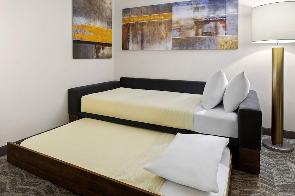 SpringHill Suites by Marriott Flagstaff 写真